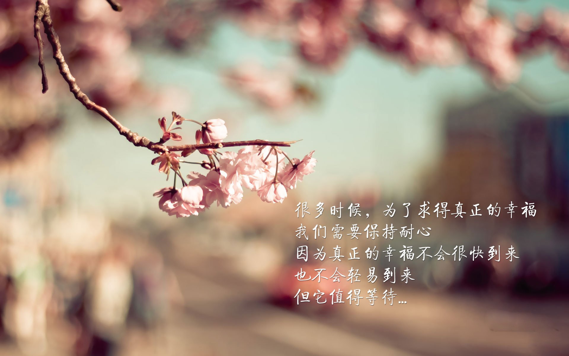 中国足球青训体系升级，培养未来国家队主力，中国足球青训搞得比较好的球队
