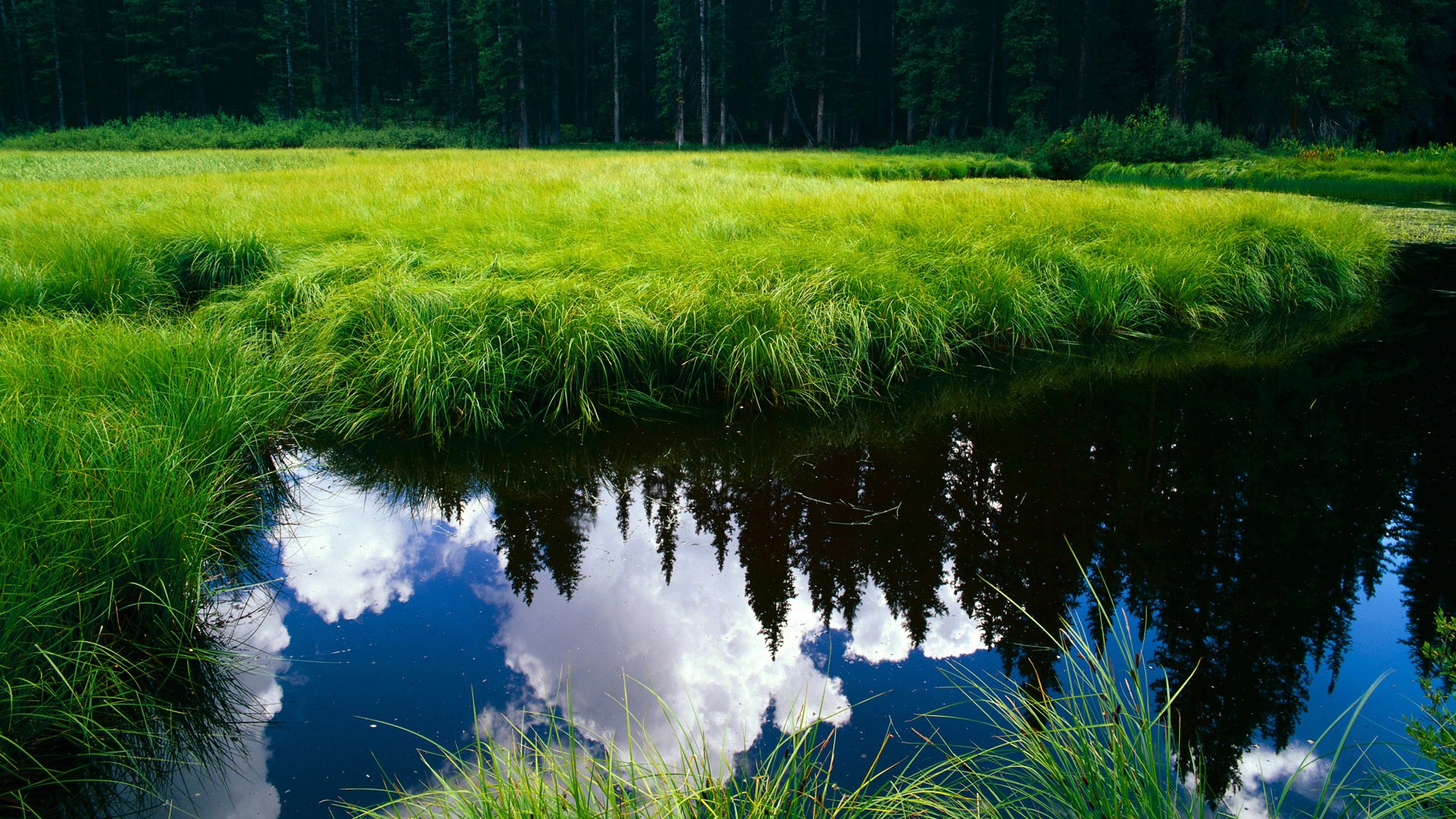 爱游戏体育平台-拉尼·帕利斯特耐力与速度兼备，帕特莱利尼克斯