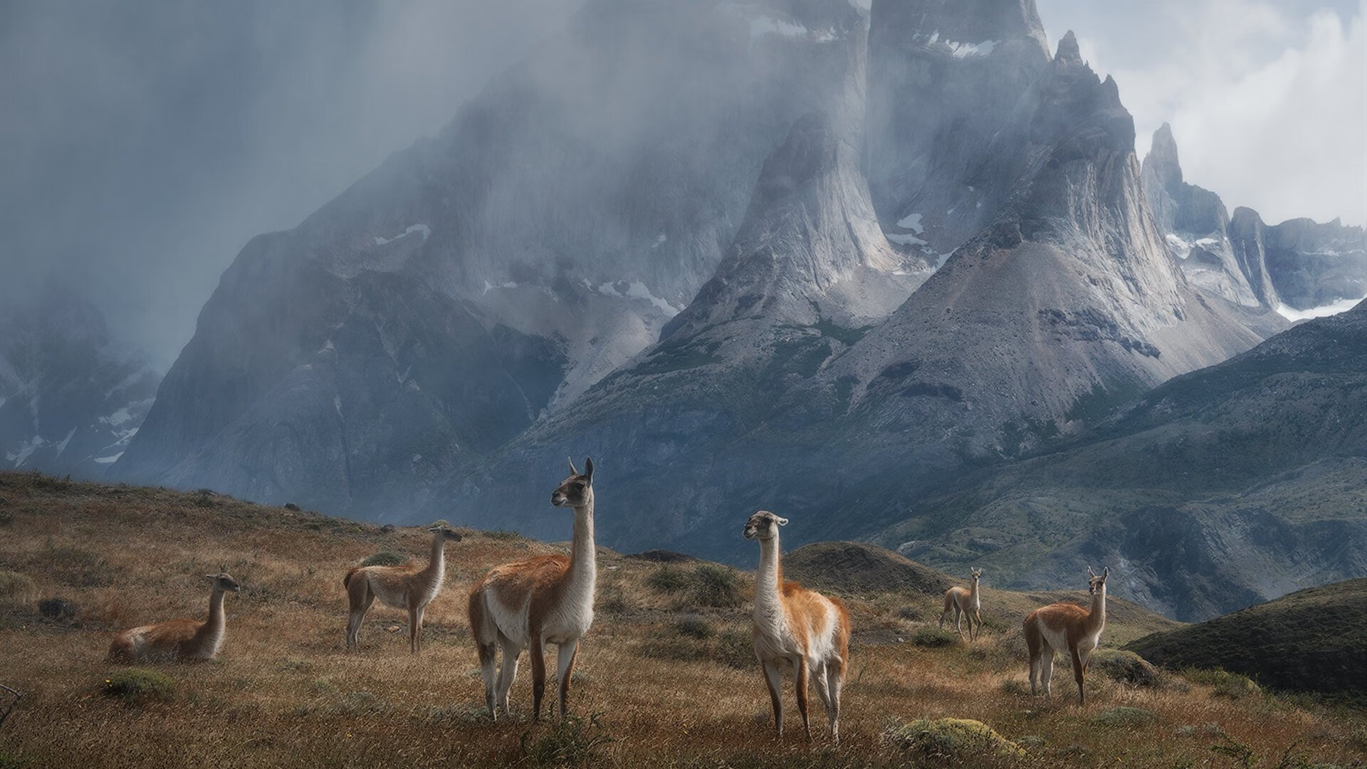 足协推动足球普及教育走进中小学，足球推广学校